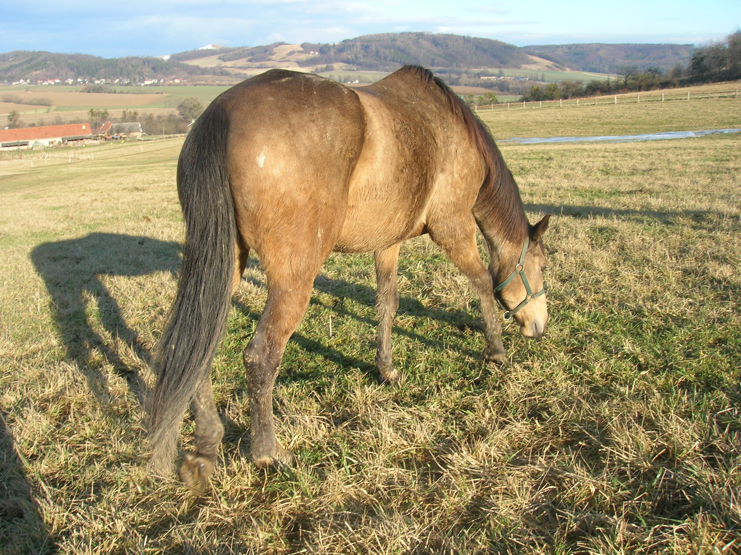 lenca.JPG