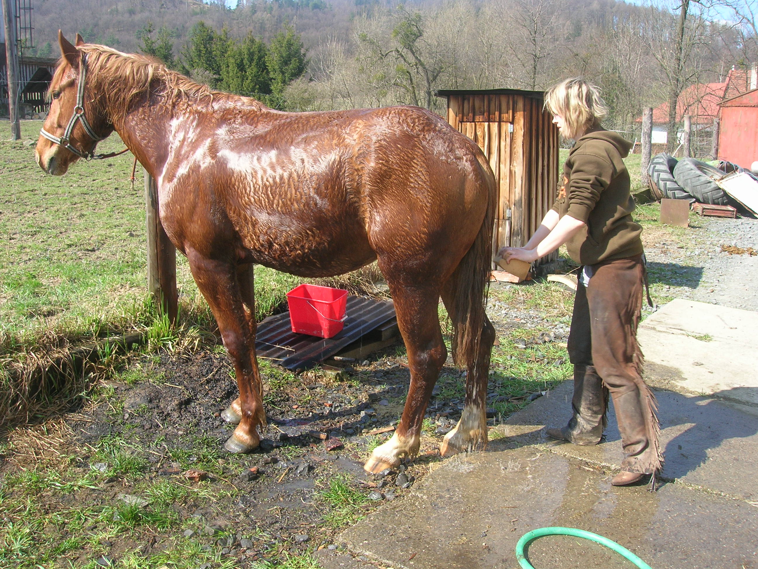 pilgrim při sprše.JPG