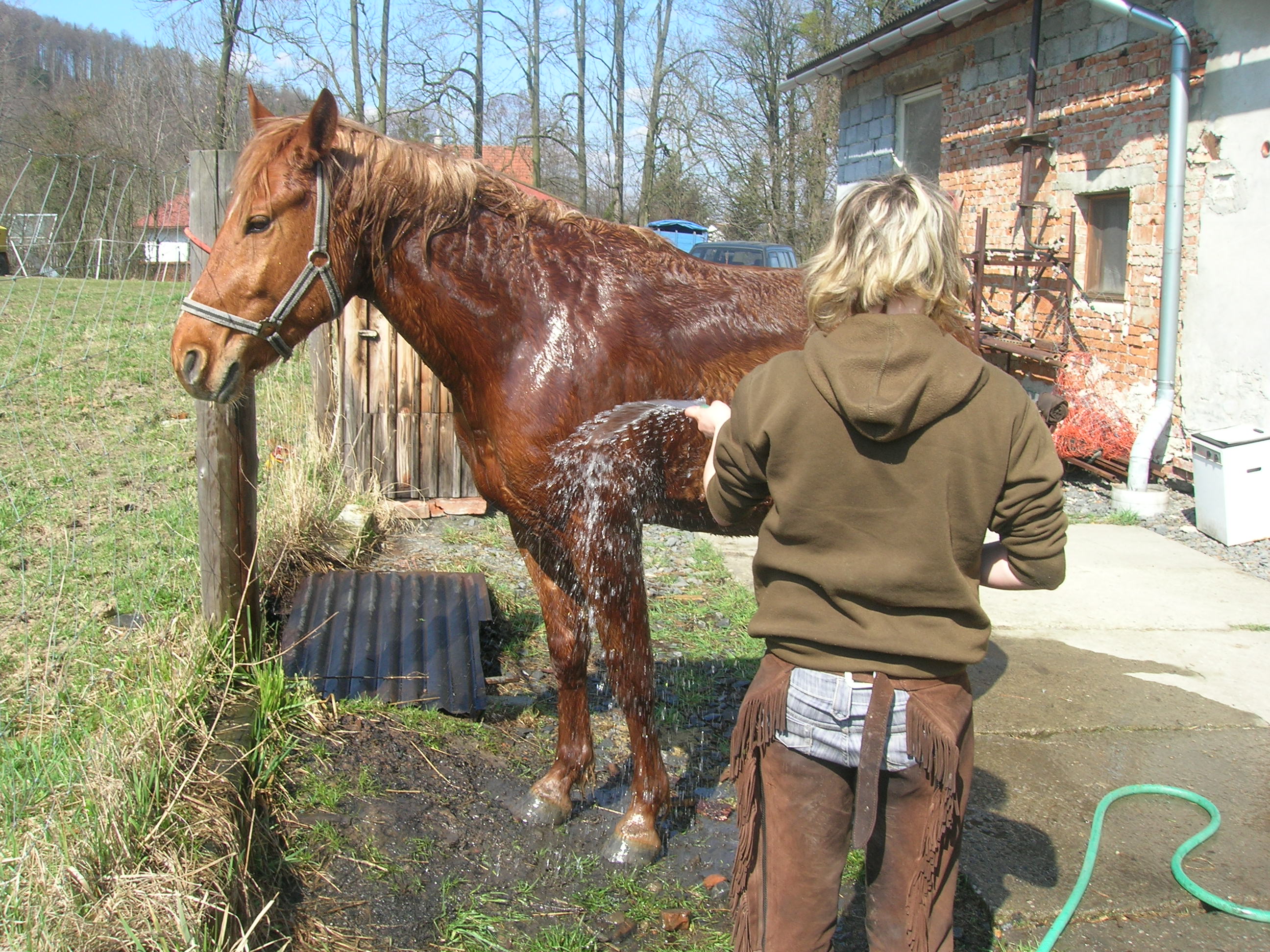 aničko pořádně.JPG